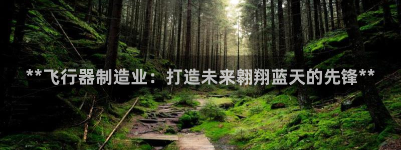 彩神viii是正规平台吗?：**飞行器制造业：打造未来翱翔蓝