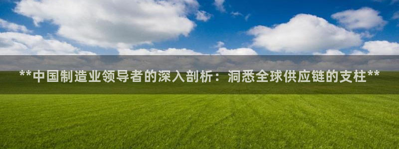 彩神v8手机客户端怎么下载：**中国制造业领导者的深入剖析：