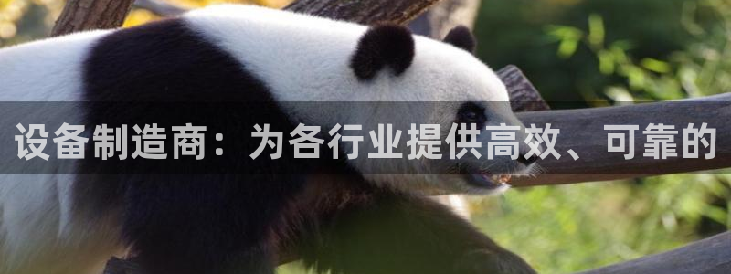 彩神购彩-购彩大厅入口计划群：设备制造商：为各行业提供高效、