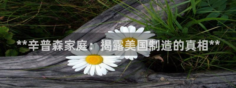 彩神vll购彩大厅：**辛普森家庭：揭露美国制造的真相**