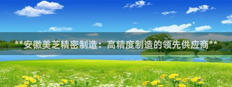 彩神系列平台：**安徽美芝精密制造：高精度制造的领先供应商**