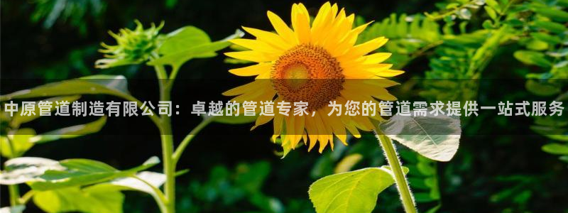 彩神大发黑平台：中原管道制造有限公司：卓越的管道专家，为您的管道需求提供一站式服务