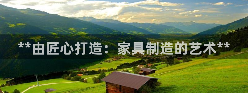彩神Vii购彩-购彩大厅：**由匠心打造：家具制造的艺术**