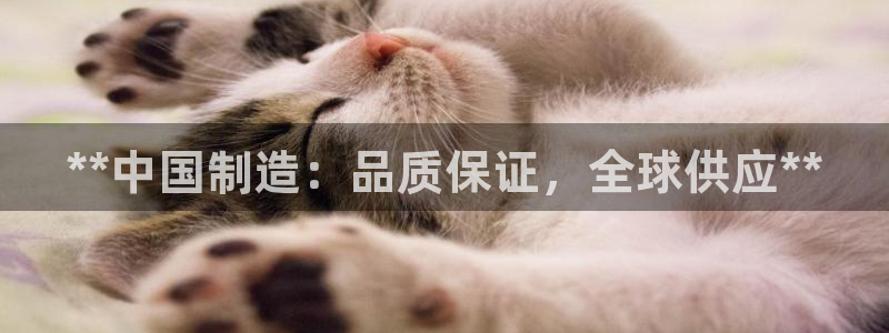 彩神平台之间是什么关系：**中国制造：品质保证，全球供应**
