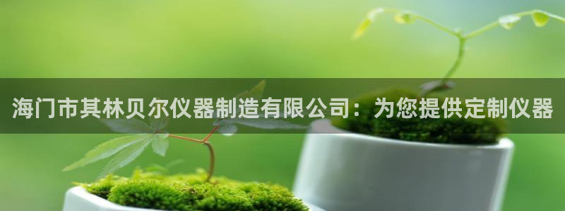 彩神网可以赚钱是真的吗：海门市其林贝尔仪器制造有限公司：为您提供定制仪器
