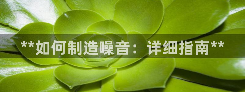 彩神的邀请码是多少：**如何制造噪音：详细指南**
