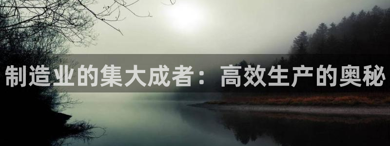 彩神是什么平台的游戏：制造业的集大成者：高效生产的奥秘