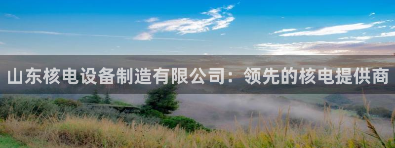 彩神天下专家专栏：山东核电设备制造有限公司：领先的核电提供商