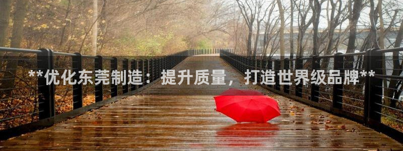 新版彩神v8登录教程：**优化东莞制造：提升质量，打造世界级