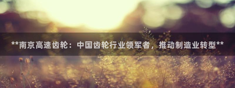 彩神v|：**南京高速齿轮：中国齿轮行业领军者，推动制造业转型**
