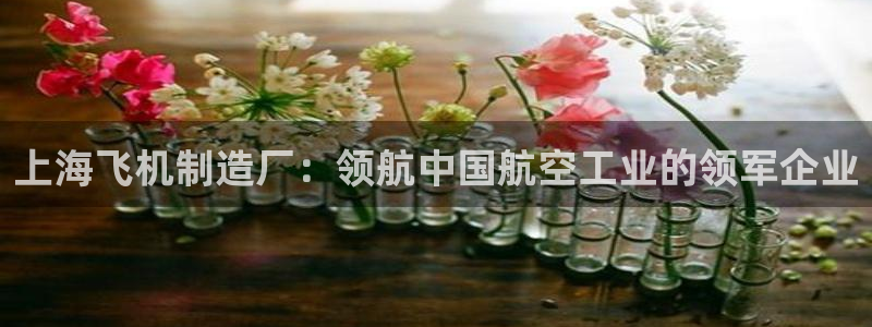 彩神8彩平台官网：上海飞机制造厂：领航中国航空工业的领军企业