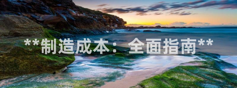 下载彩神通关注码：**制造成本：全面指南**