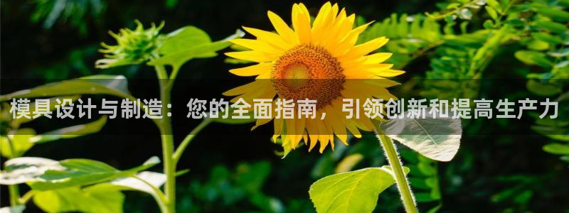 下载彩神通关注金码：模具设计与制造：您的全面指南，引领创新和提高生产力