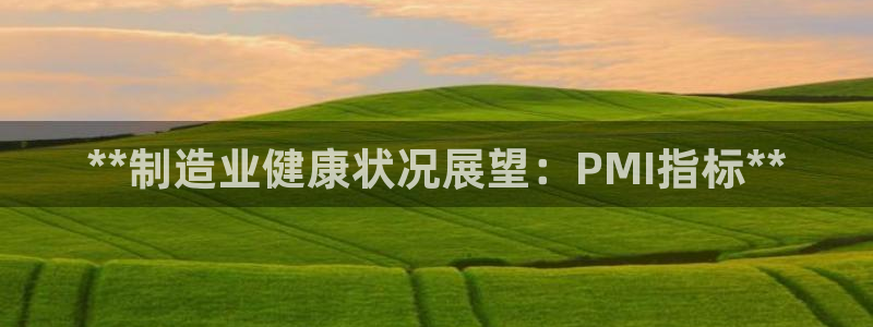v大发彩神8iii：**制造业健康状况展望：PMI指标**