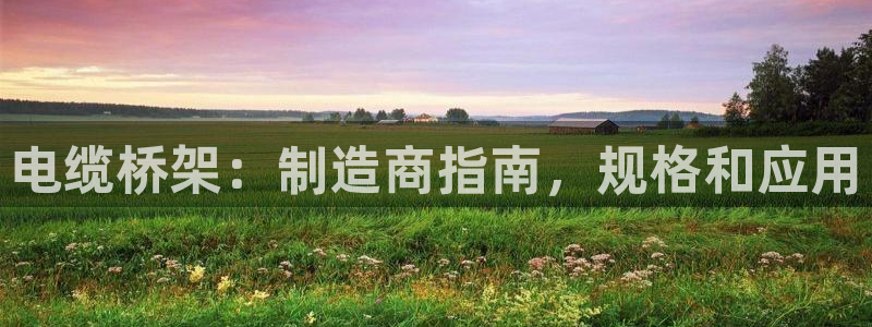 彩神v8有多久了?靠谱吗：电缆桥架：制造商指南，规格和应用