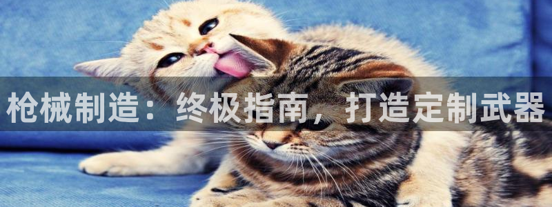 彩神的邀请码是多少：枪械制造：终极指南，打造定制武器