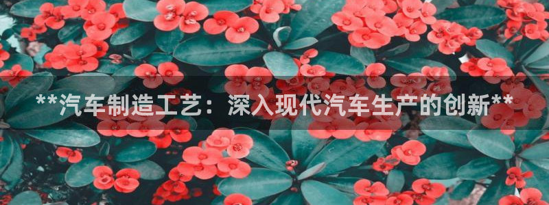 大发彩神争：**汽车制造工艺：深入现代汽车生产的创新**