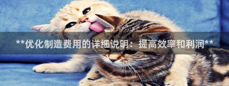 彩神v平台：**优化制造费用的详细说明：提高效率和利润**