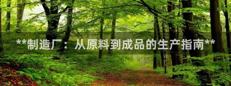 彩神赢的钱是哪里来的啊：**制造厂：从原料到成品的生产指南**