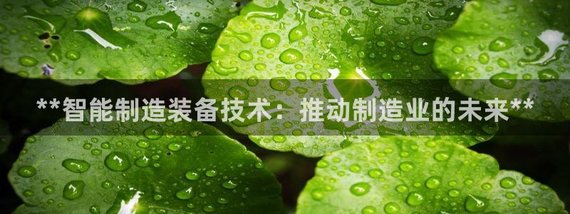 彩神天下专家专栏：**智能制造装备技术：推动制造业的未来**
