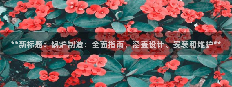 彩神平台是真的吗：**新标题：锅炉制造：全面指南，涵盖设计、