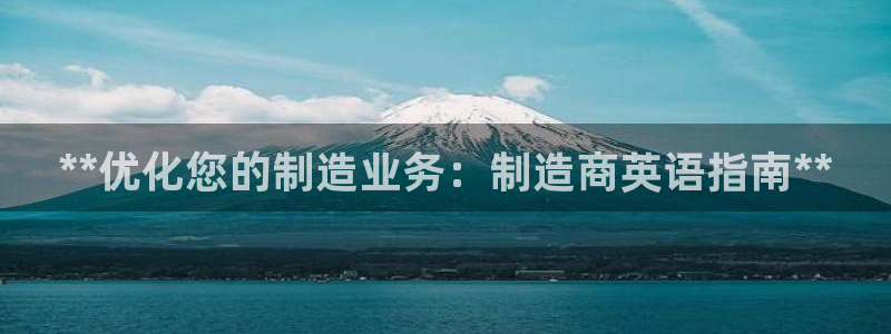 下载彩神通关注金码：**优化您的制造业务：制造商英语指南**