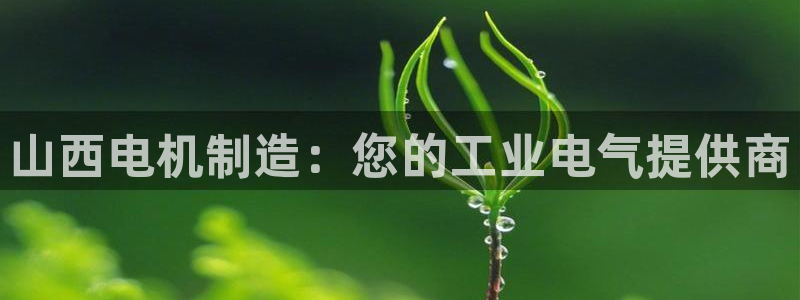 彩神8彩平台客服：山西电机制造：您的工业电气提供商