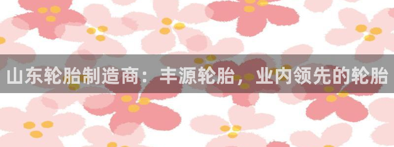 彩神赢了钱登录不上去：山东轮胎制造商：丰源轮胎，业内领先的轮胎