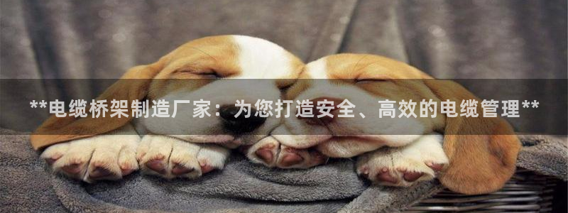 彩神通官网下载：**电缆桥架制造厂家：为您打造安全、高效的电缆管理**