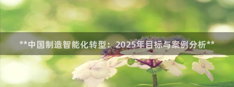 彩神8app官方下载：**中国制造智能化转型：2025年目标与案例分析**