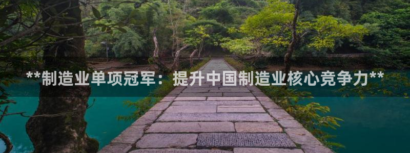彩神通官网下载：**制造业单项冠军：提升中国制造业核心竞争力