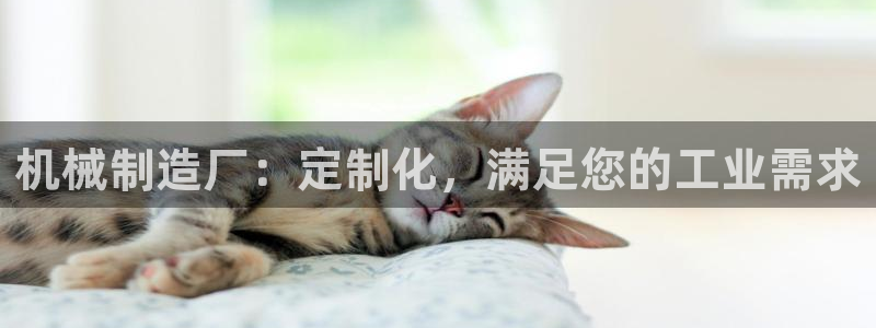 彩神大发是不是人为操作：机械制造厂：定制化，满足您的工业需求