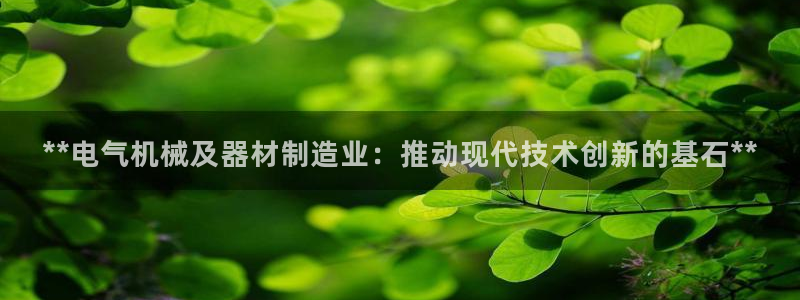 彩神网合法吗：**电气机械及器材制造业：推动现代技术创新的基石**