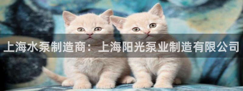 彩神vii购彩l心：上海水泵制造商：上海阳光泵业制造有限公司