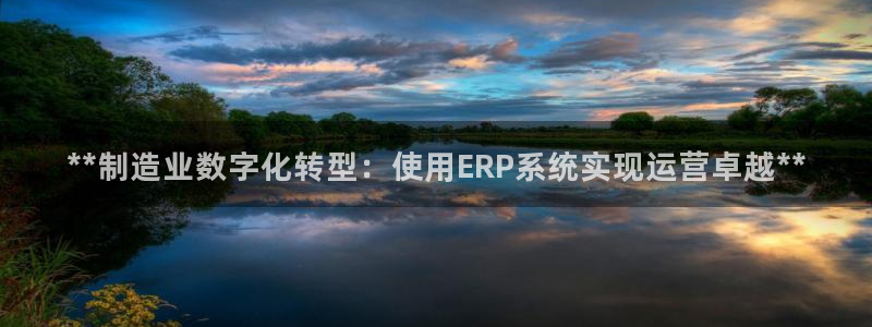 彩神v8手机客户端下载：**制造业数字化转型：使用ERP系统实现运营卓越**