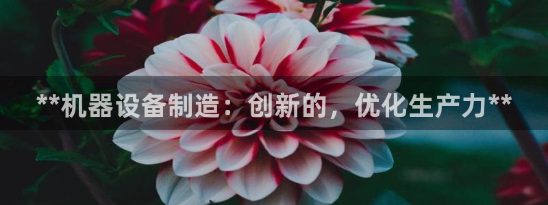 彩神vii官网：**机器设备制造：创新的，优化生产力**