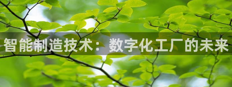 彩神ix是真的吗：智能制造技术：数字化工厂的未来