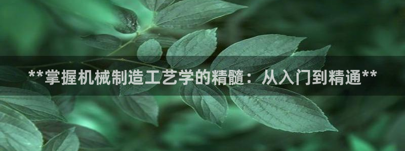 彩神vip官方网站
