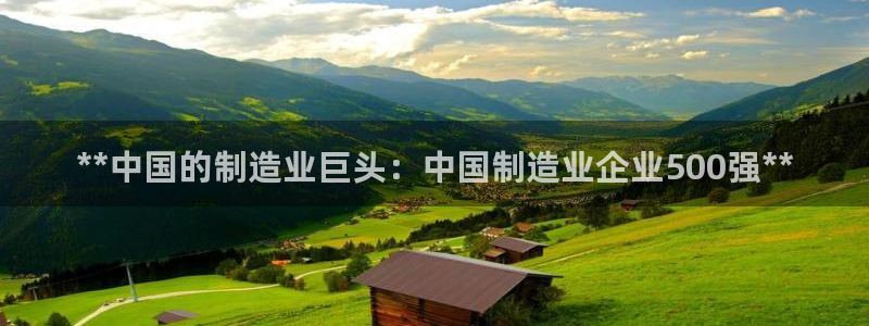彩神网正规吗：**中国的制造业巨头：中国制造业企业500强**