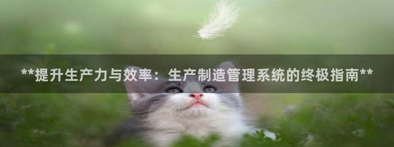 彩神怎么样可以提现：**提升生产力与效率：生产制造管理系统的