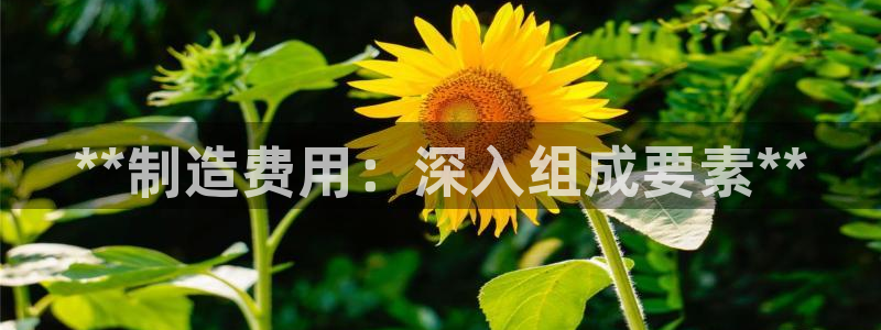 彩神vll官网在线登录：**制造费用：深入组成要素**