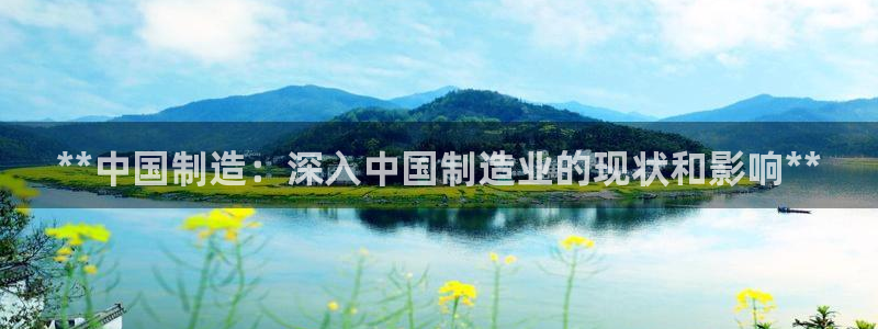 彩神Vll购彩大厅：**中国制造：深入中国制造业的现状和影响