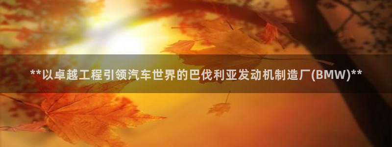 彩神8官网合法吗：**以卓越工程引领汽车世界的巴伐利亚发动机