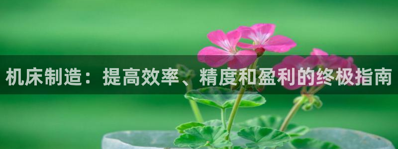 彩神vl购彩大厅：机床制造：提高效率、精度和盈利的终极指南