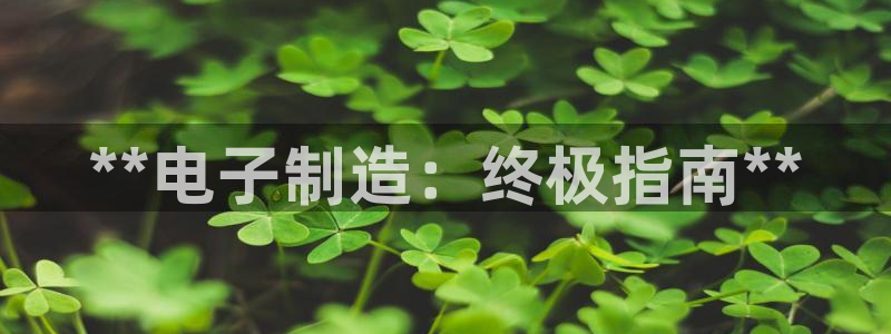 彩神网可以赚钱是真的吗：**电子制造：终极指南**