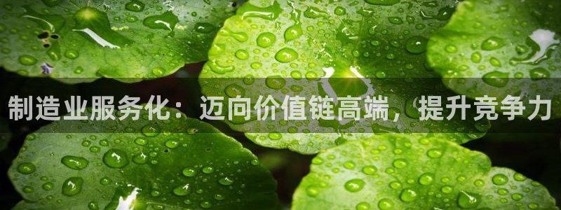 彩神v8下载：制造业服务化：迈向价值链高端，提升竞争力
