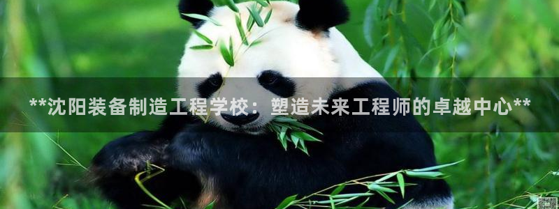 彩神网可以赚钱是真的吗：**沈阳装备制造工程学校：塑造未来工程师的卓越中心**
