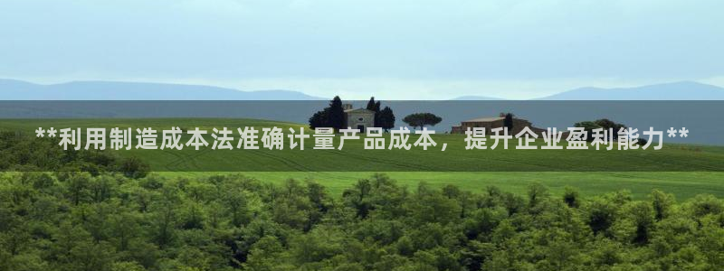 彩神v8是一个什么平台游戏：**利用制造成本法准确计量产品成本，提升企业盈利能力**