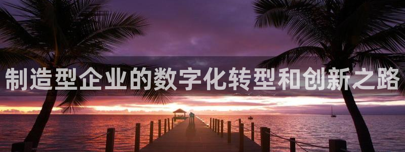 天天赢彩神：制造型企业的数字化转型和创新之路