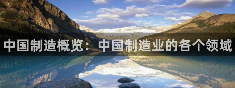 所有彩神购买首页都一样吗：中国制造概览：中国制造业的各个领域